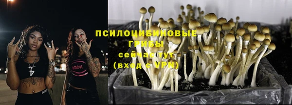 прущая мука Алексеевка