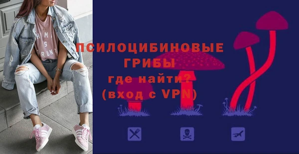 винт Алзамай