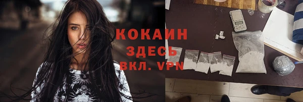 винт Алзамай