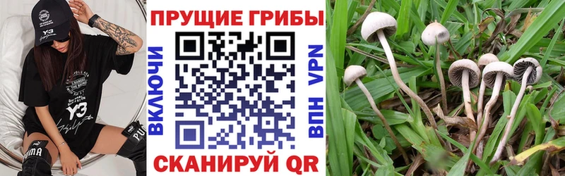 как найти закладки  Кандалакша  Галлюциногенные грибы ЛСД 